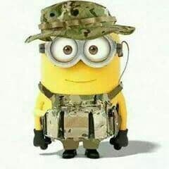 FOMEXyr