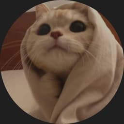 Ely_csgo