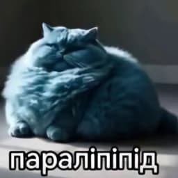 exetlly