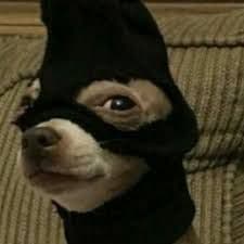 zuyk