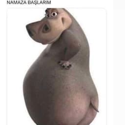 maymunataciz