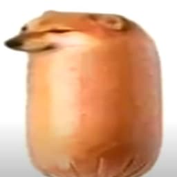 trantienandy