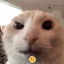 LlLPeepiska