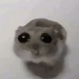 0Krio0