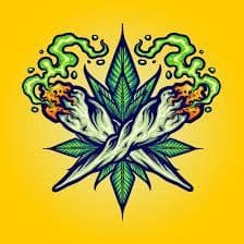 Ponczula420