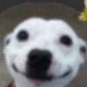 ARCZI_0