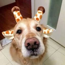 ToTskiy