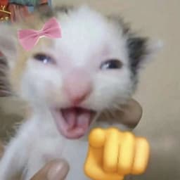 4eluPonKaF1