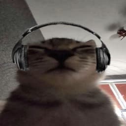 Tutelu