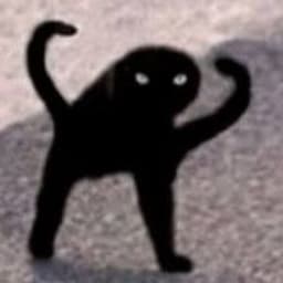 blackcat22
