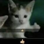 Parker_2k