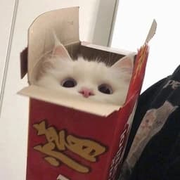 gogglsa