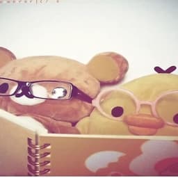 hudzu