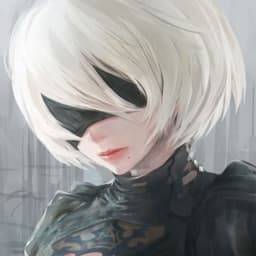 NieR-ZJR