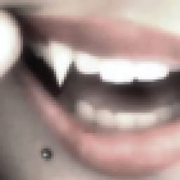 TR1Mofen1