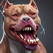 DogiMallkuar