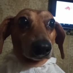 Tinllesion_