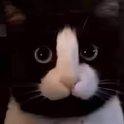 BunHe
