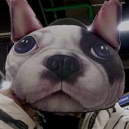 T_E_M_A_S_H