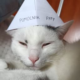 Kamilek___