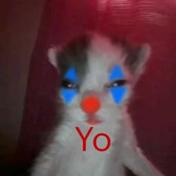 n3LYX