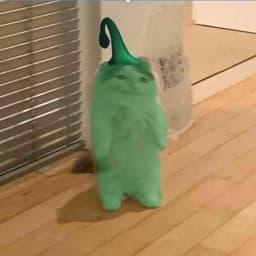 Pomamah