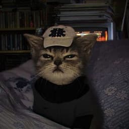fuzzzle2