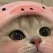 Meamaru