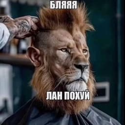 qwixXDD