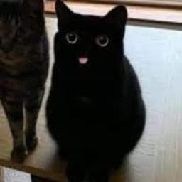 Ieiuuuu