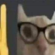 nicpo