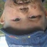 kotenysh