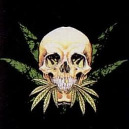Smokeu187