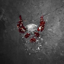 INFERNO_x_X