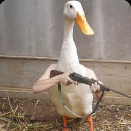 RozuDNS