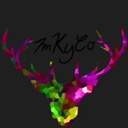 imKYCO