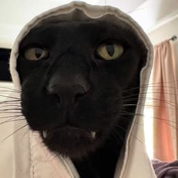 manekenNaspo