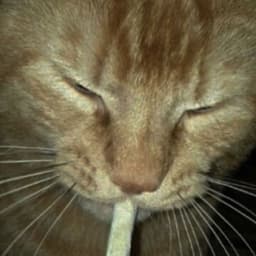 Pothead420_