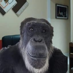 Zakharych1