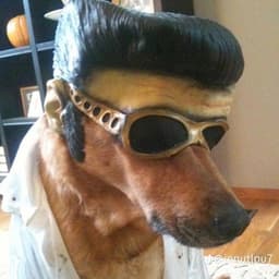 MrrBlancik