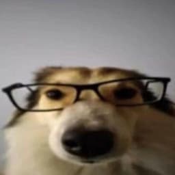 MyNameIsGeo