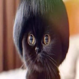 Tewenok