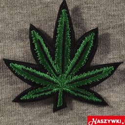dejvidus_420