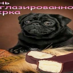 Yaroxxa