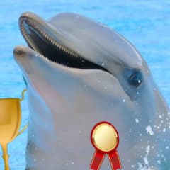 dolphwin
