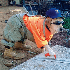 stonerhund