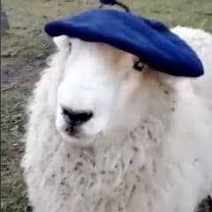 LaGalga