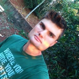 Hamlikk