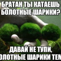 nosokmp3