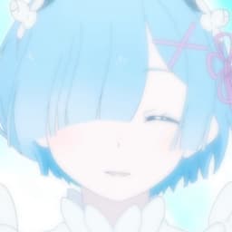 rem20217